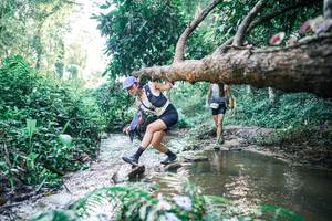 BIB: 
                            <button type="button" onclick="openModal(25433297)" class="btn btn-primary btn-sm float-right btn-popup" data-toggle="modal" data-target=".modal-high-quality">
                        <i class="fas fa-shopping-cart"></i> Add to Cart
                    </button>
                                            <button type="button" onclick="isThisMe(25433297, true)" class="btn btn-success btn-sm float-right btn-popup btn-isme hidden" data-toggle="tooltip" data-placement="bottom" title="นี่คือรูปของคุณใช่ไหม คลิกที่นี่เพื่อเอาเข้าอัลบั้ม">
                        <i class="fas fa-plus"></i> Add to album
                    </button>
                    <button type="button" onclick="isThisMe(25433297, false)" class="btn btn-warning btn-sm float-right btn-popup btn-isnotme hidden">
                        <i class="fas fa-ban"></i> Remove from album
                    </button>